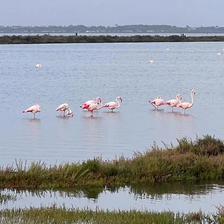 1 Bedroom, Very View With Parking Space *