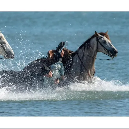 1 Bedroom, Very View With Parking Space * モーギオ